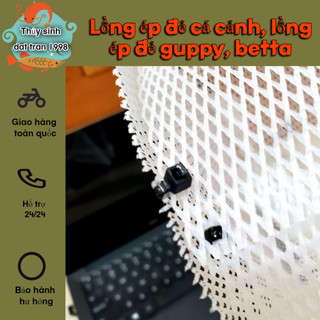 Lồng ép đẻ cá cảnh, lồng ép đẻ guppy, betta