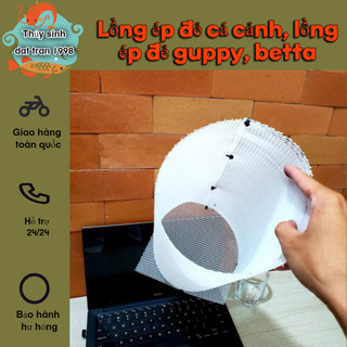 Lồng ép đẻ cá cảnh, lồng ép đẻ guppy, betta