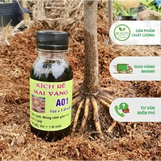 [  Mua 3 Tặng 1 ] Kích rễ Mai Vàng A01, phân bón kích rễ cho các loại cây giâm chiết cành