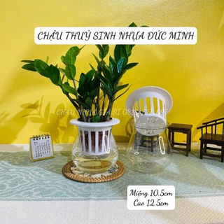 Bình thủy sinh, Chậu nhựa trồng cây thủy sinh, Chậu thủy canh trong suốt tiện dụng