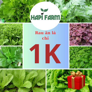 Deal 1k 100 hạt, hạt giống rau ăn lá, rau củ quả trồng thử dễ trồng