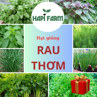 Hạt Giống Rau Thơm, rau củ quả trồng chậu, trồng thùng xốp dễ trồng