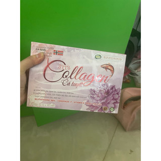 collagen cá tuyết