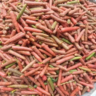 Trái Tiêu lốp tươi 1kg