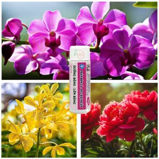 Phân bón lá TOCAMIC Chai 36ml dưỡng hoa, lớn hoa