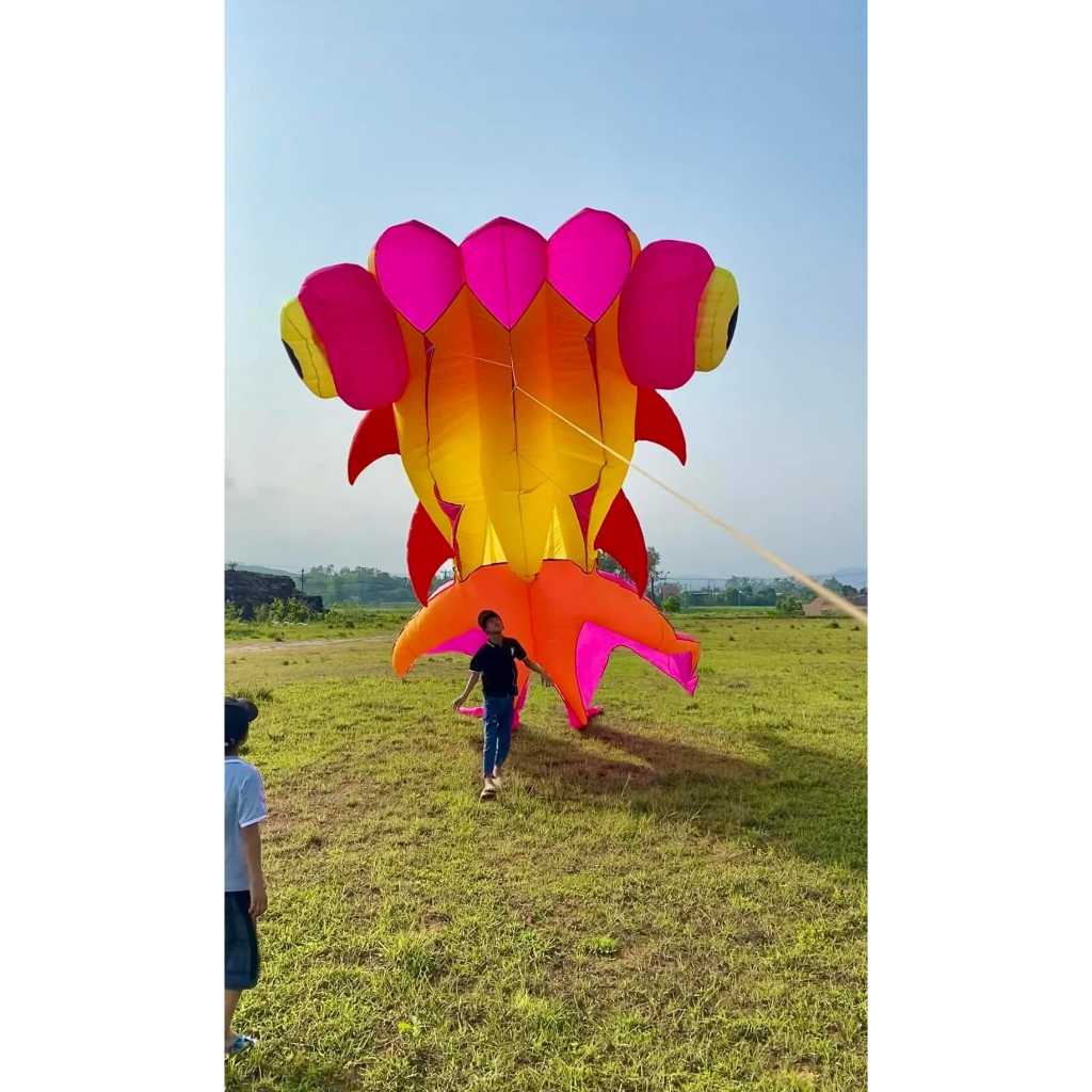 Diều cá vàng khí động học 5 mét siêu đẹp