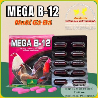 Vitamin MEGA B12 nuôi gia cầm 1 HỘP, bóng lông, hừng gà, Philippine