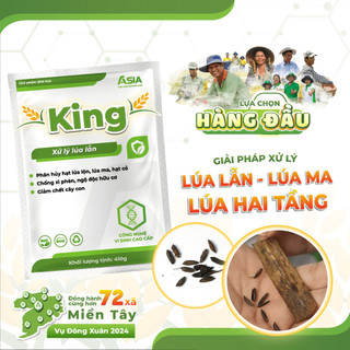 KING Xử lý lúa lộn, lúa ma, lúa 2 tầng (SP0087) Chế phẩm sinh học ASIA 410g