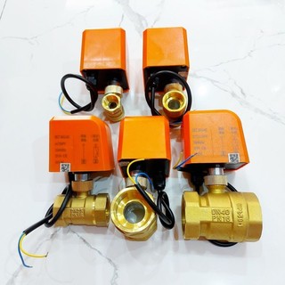 Van bi điện 02 dây dc12-24v ac220v