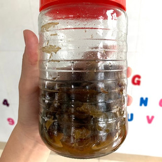 Chúc ngâm mật ong hoa bạc hà
