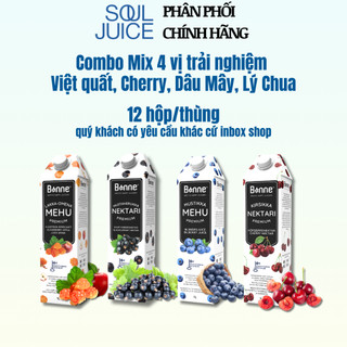 COMBO 12 Hộp Nước ép Bonne Mix 4 vị Việt Quất, Cherry, Dâu Mây, Lý Chua - 12 hộp