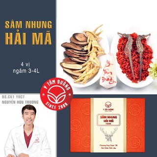 Thang ngâm rượu Sâm Nhung Hải Mã