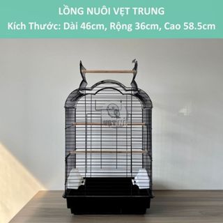 Lồng Nuôi Vẹt Trung - Cockatiel, Greencheek, Sun, Monk, Ngực Hồng