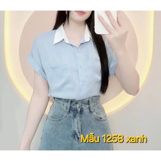 Áo sơ mi nữ tay hến chất lụa tơ mềm rũ mát bigsize đến 70kg
