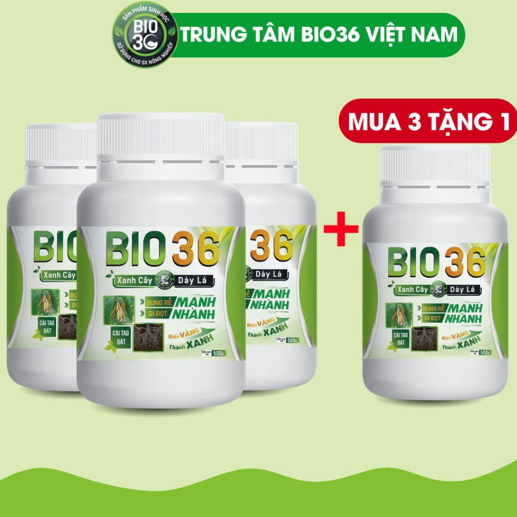 SET 3 Phân Bón Sinh Học BIO36 Siêu Kích Rễ Đi Đọt Nhanh, Xanh Cây, Dày lá (BIO36, 500g) (3 ĐƯỢC 4)