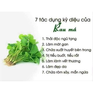 bột rau má nguyên chất ko pha trộn ( túi zip 500)