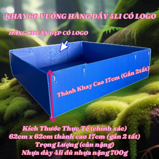 Khay nhựa lót lồng gà 80x80 cm, 60x60 cm, cao 20 cm.