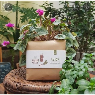 LÚ BÚ LÁ CẢI NGÂM MÔNG VIETHERB