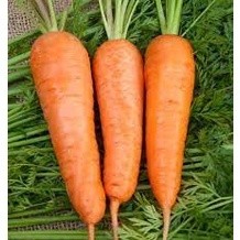 Cà rốt Đà Lạt -1kg