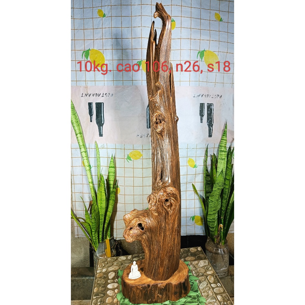 Lũa gỗ thơm ngọc am đỏ