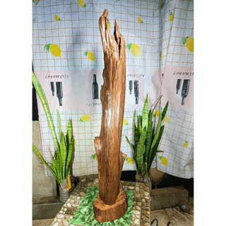 Lũa gỗ thơm ngọc am đỏ
