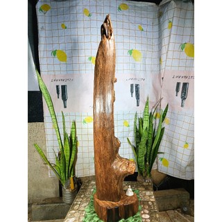 Lũa gỗ thơm ngọc am đỏ