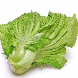 Hạt giống cải bẹ dưa gói 20g