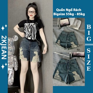 Quần short ngố jean rách nữ bigsize từ 55-85kg, quần lửng rách đùi lưng cao đi biển, đi chơi 2KJean