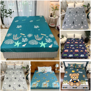 Ga chống thấm Cotton hàn quốc, ga chống thấm cotton nằm trực tiếp, chống thấm tuyệt đối 100% đủ size 1m6, 1m8, 2m2