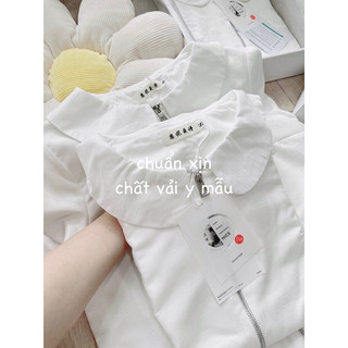 Đầm đuôi cá cổ sen trắng nhũ