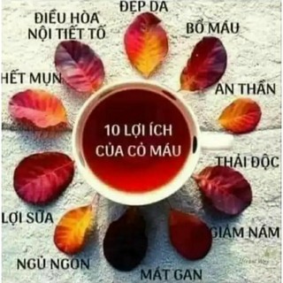 1kg Cỏ máu tăng cân