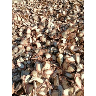 1kg Cỏ máu tăng cân