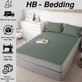 Chiếu Cao Su Non Hot Hit 2024 Tặng Kèm 2 Vỏ Gối