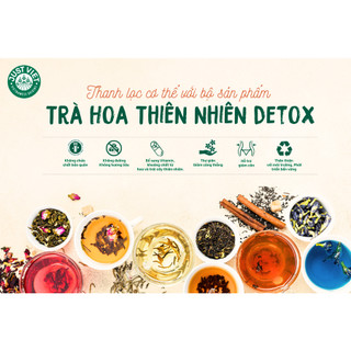 Trà Hoa Dưỡng Nhan Thảo Mộc Thiên Nhiên Detox Just Viet, Thanh Lọc, Tốt Cho Sức Khỏe Gói 5g