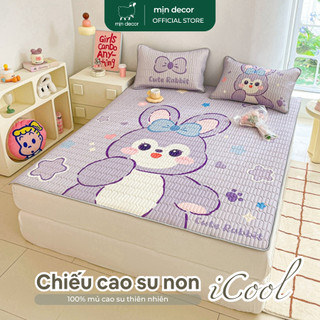 Chiếu Điều Hoà Cao Su Non iCool Mịn Decor Dày 4mm Mềm Mát, Bộ 1 Chiếu Chun Cài 2 Vỏ Gối Đồng Bộ Size 1m6x2m 1m8x2m