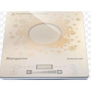 Mặt kính Bếp điện từ Kangaroo KG419i
