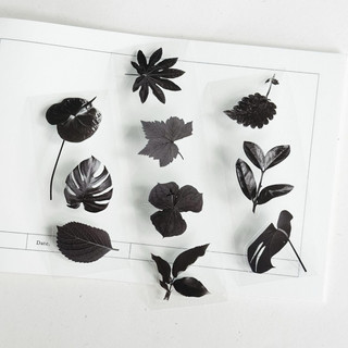 Saunery - ONElande - Băng keo dán PET tape die cut chiếc lá basic trang trí sổ Bulletjournal | Chiết chu kì 3.5x30cm