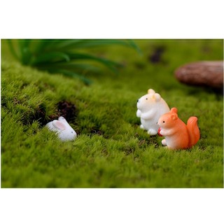 Thú mini trang trí tiểu cảnh, sen đá, sân vườn