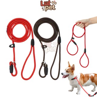 Dây xích, dây dắt kỉ luật cho chó mèo 1*140cm - lutpet