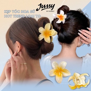 Set 5 Kẹp Tóc Hoa Sứ Hot Trend Size To Siêu Xinh Jussy Official Kẹp Tóc Hàn Quốc Mẩu Mới Chất Nhựa Bền Chắc