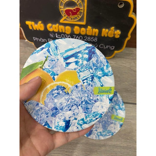 Miếng sứ làm mát cho hamster nằm giải nhiệt mùa nóng