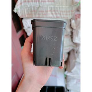 Chậu nhựa vuông dày đẹp 7x7 xr92