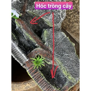 Hòn non bộ hồ cá - thác nước tạo oxy cho cá