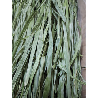 Cỏ Timothy 9A sấy dành cho thỏ, bọ ú, chinchilla