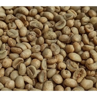 Cà phê Arabica Quảng Trị sơ chế Honey – rang MEDIUM LIGHT cho espresso