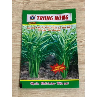 (Gói 20 g )Hạt giống rau muống lá tre dễ trồng tỷ lệ nảy mầm cao-Tổng kho hạt giống giá rẻ