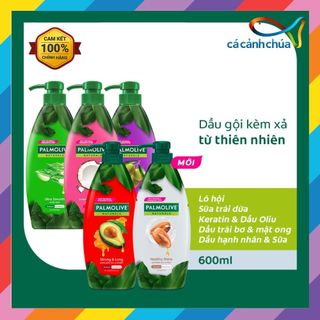 Dầu gội Palmolive kèm xả 2 trong 1 chiết xuất thiên nhiên 600ml