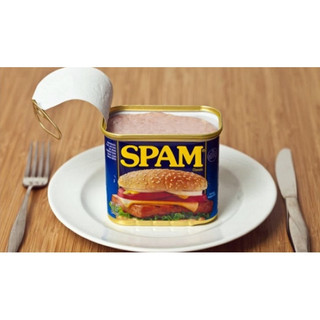 Date 2028 - Thịt spam hộp 340gr