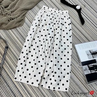 QUẦN ĐŨI XƯỚC CHẤM BI 2 MÀU