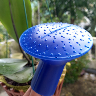 Búp sen búp xoa vòi sen nhựa tưới nước, tưới rau tưới hoa cây cảnh